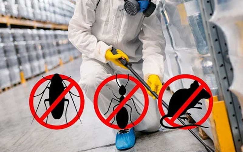 Hygiène 3D à Casablanca